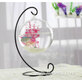 Hanging Fish Tank Glass Fish Bowl